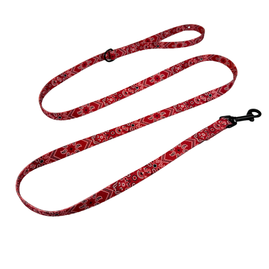 Leashes