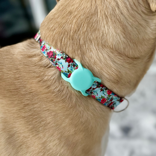 Air Tag Holder for Dog Collar