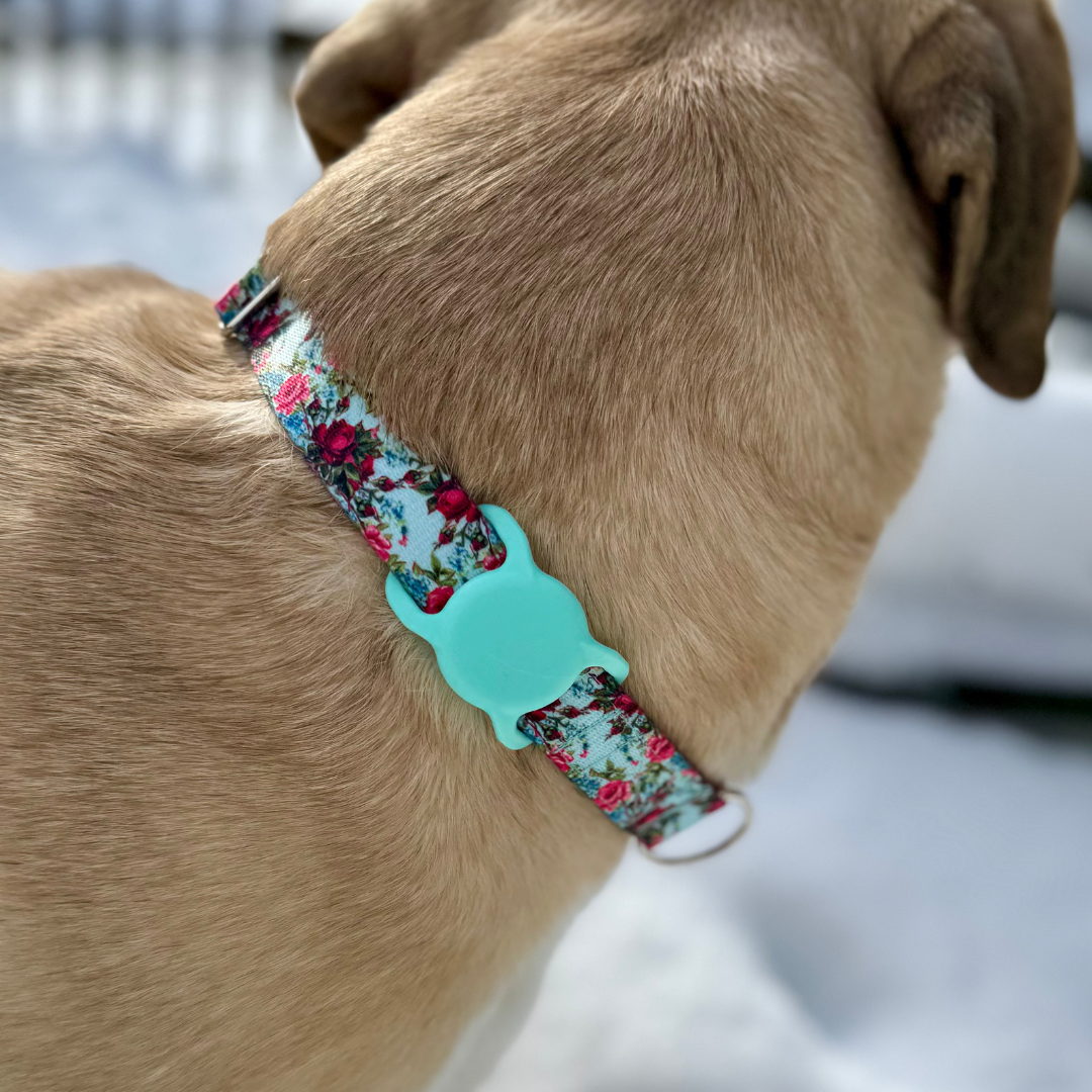 Air Tag Holder for Dog Collar