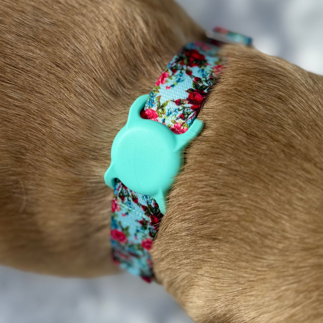 Air Tag Holder for Dog Collar