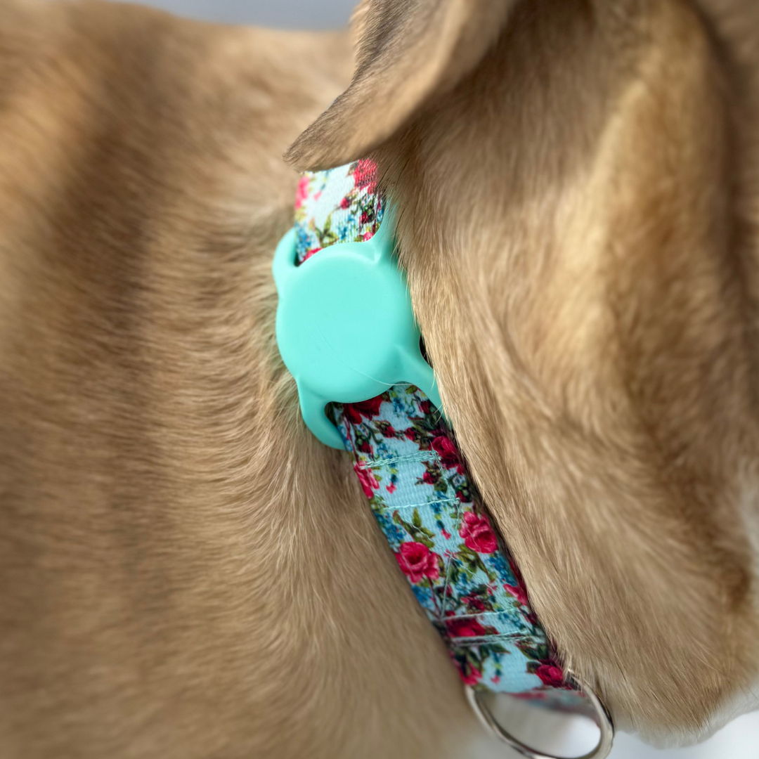 Air Tag Holder for Dog Collar