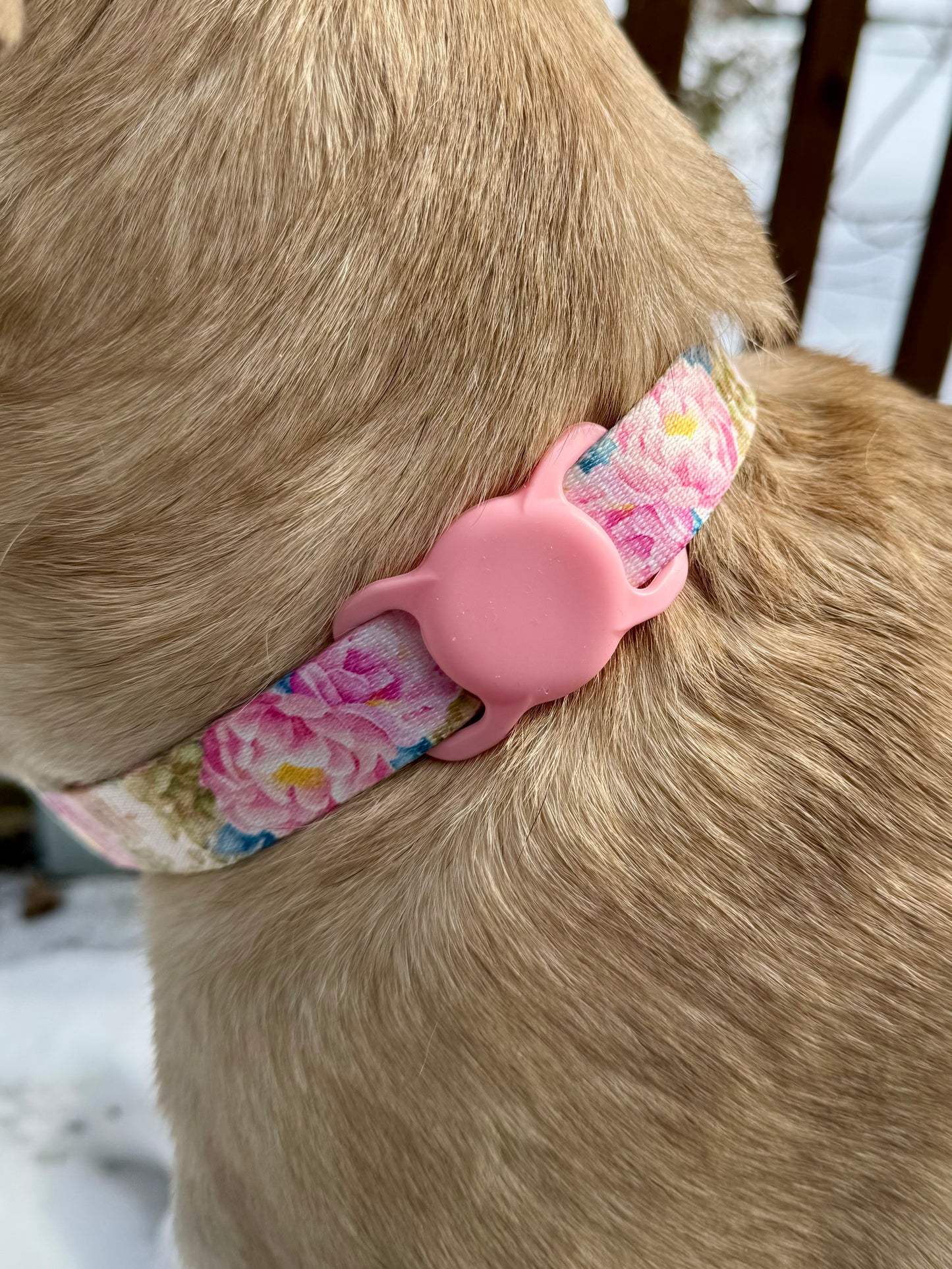 Air Tag Holder for Dog Collar
