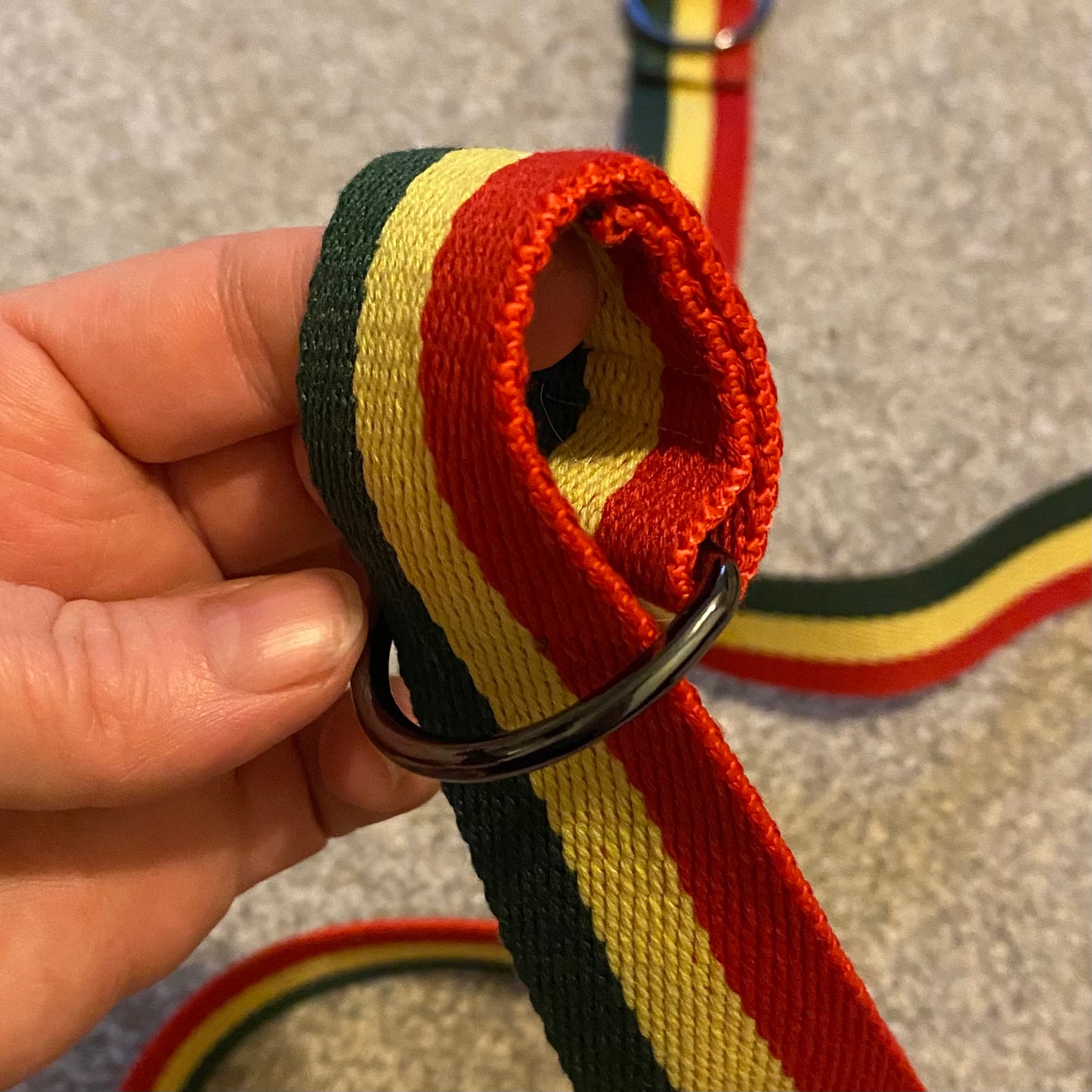Rasta Skate Leash