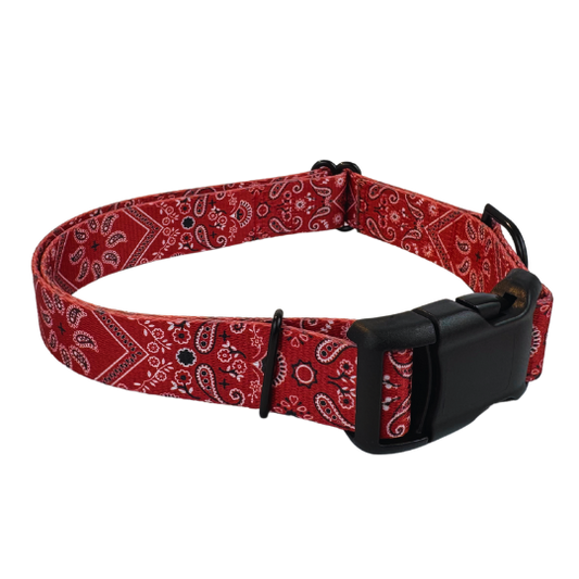 Red Bandana Dog Collar