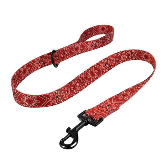 Red Bandana Dog Leash