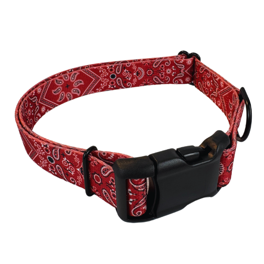 Red Bandana Dog Collar