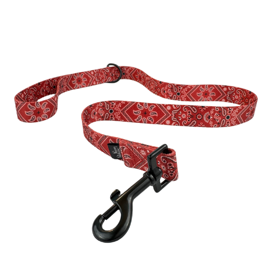 Red Bandana Dog Leash