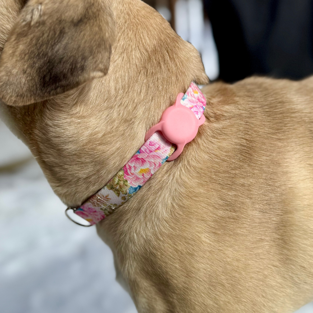 Air Tag Holder for Dog Collar